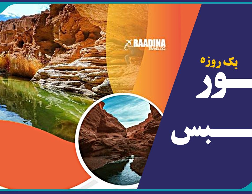 برگزاری تور یک روزه طبس