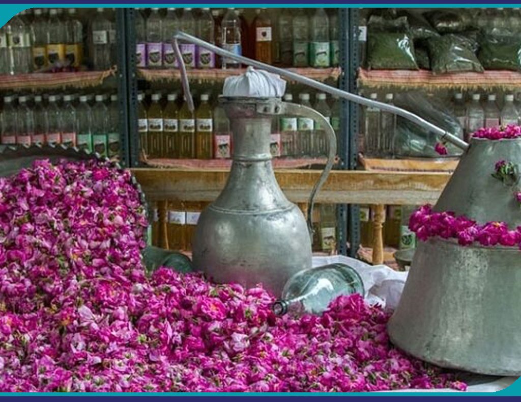برگزاری تور يك روزه گلاب گيری كاشان