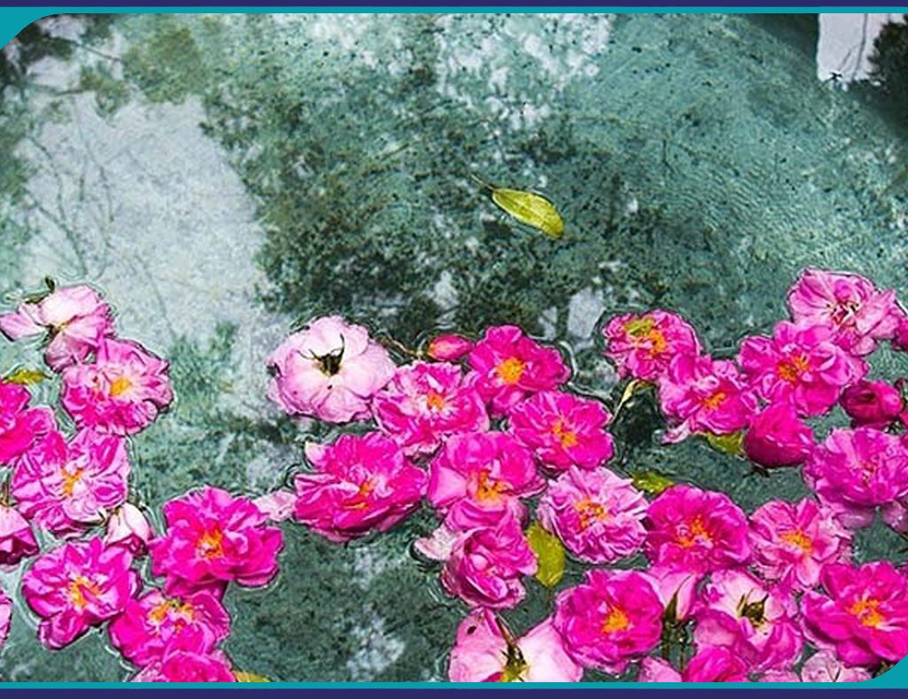 برگزاری تور یک روزه گلابگیری کاشان